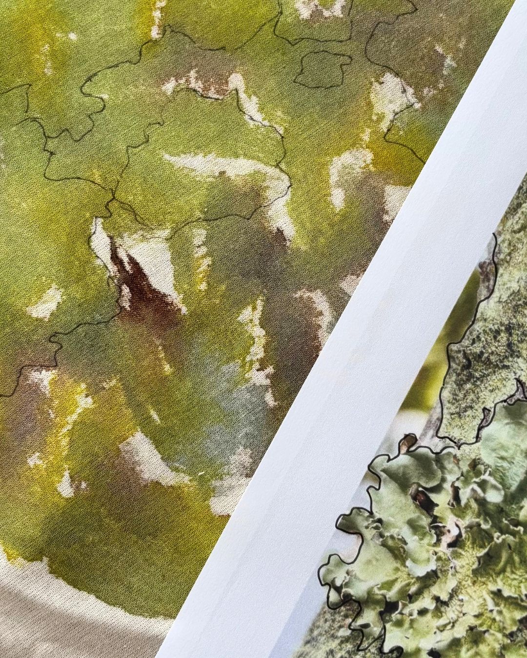 From Nature's Detail ~ Abstract Embroidery Part 2: Sat 28 Nov